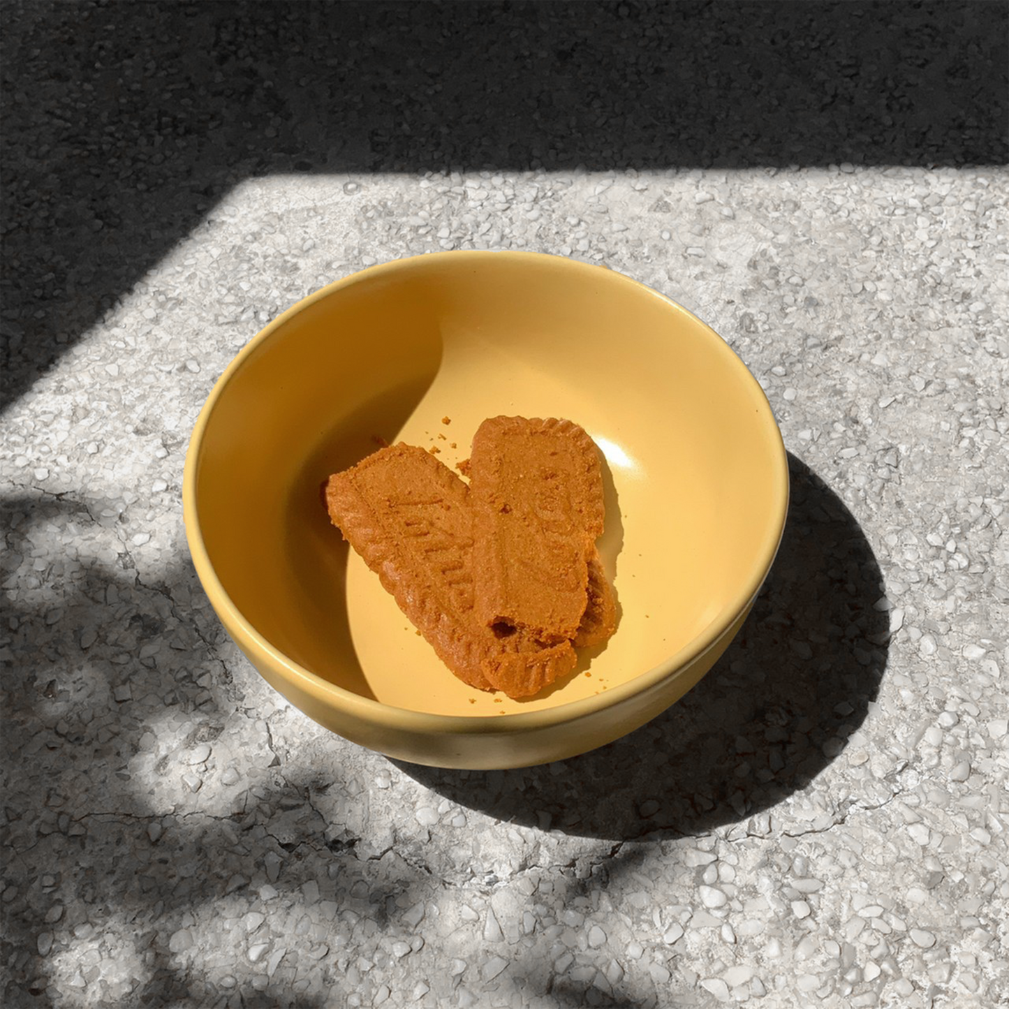 Cereal Bowl