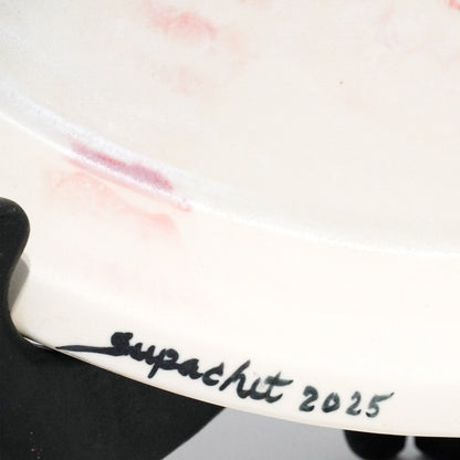 SC9 - 045